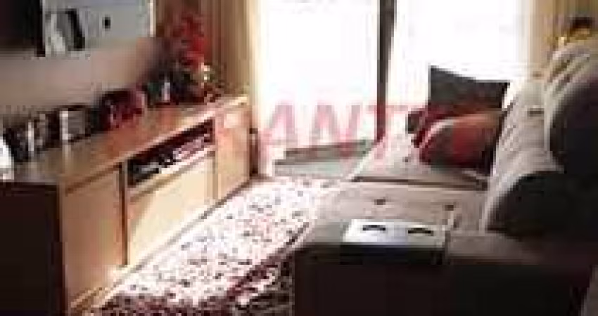 Apartamento de 67m² com 3 quartos em Vila Amalia
