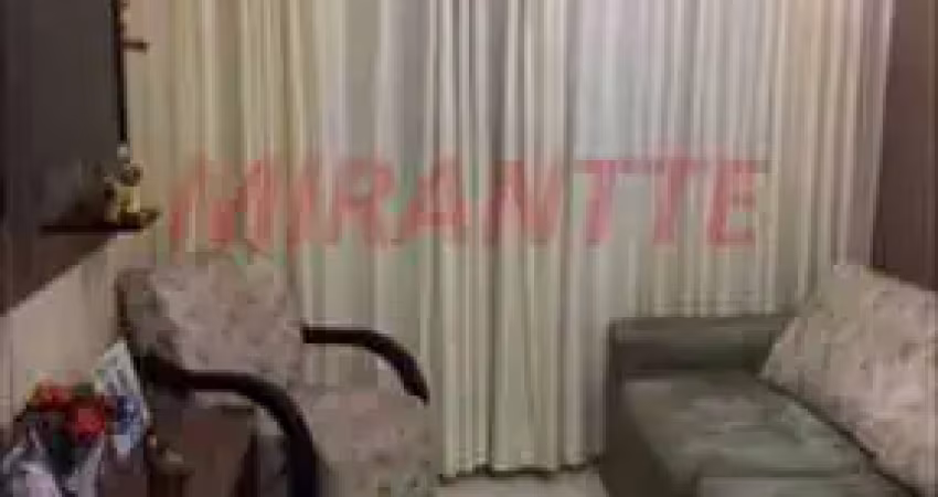 Apartamento de 51m² com 2 quartos em Imirim