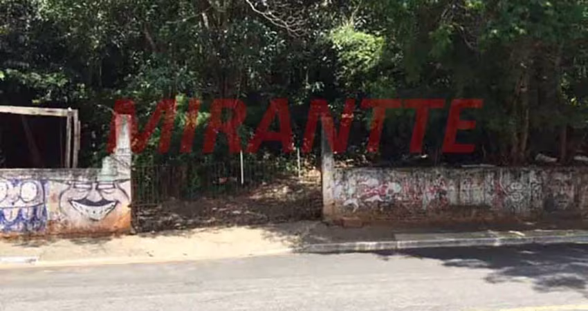 Terreno à venda na Rua do Horto, Horto Florestal, São Paulo