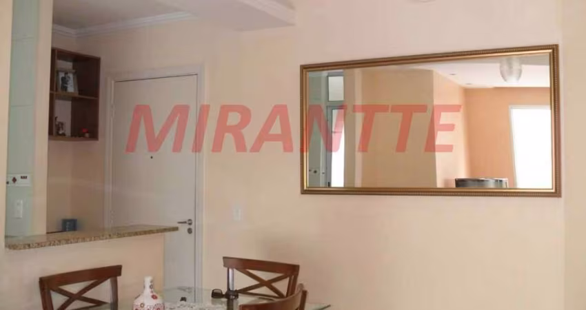 Apartamento de 47m² com 2 quartos em Imirim
