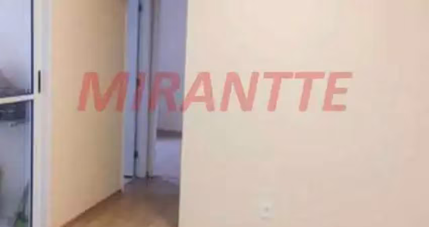 Apartamento de 50m² com 2 quartos em horto florestal
