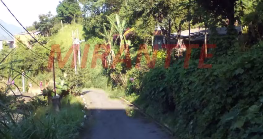 Terreno à venda na Rua José Brito Mendes, Perus, São Paulo