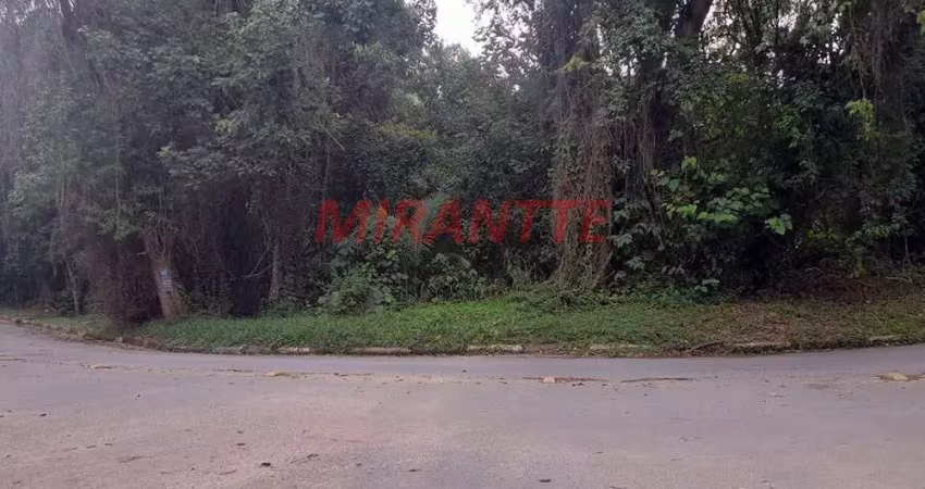 Terreno à venda na Rua Líbano, Serra da Cantareira, Mairiporã