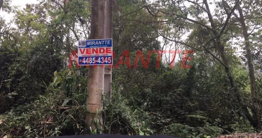 Terreno em Serra Da Cantareira