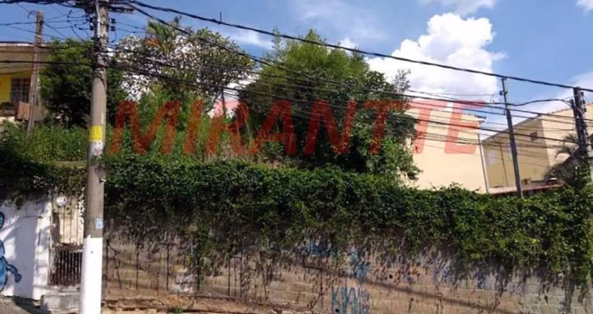 Terreno em Vila Renato