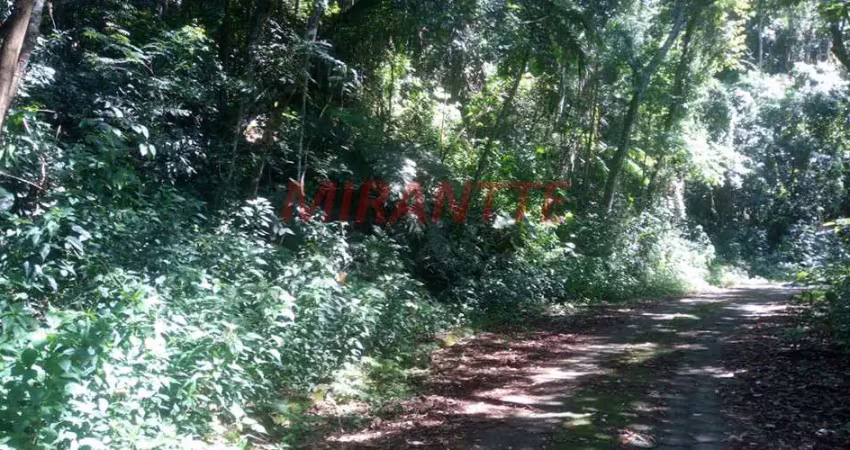Terreno à venda na Rua Jatobá, Serra da Cantareira, Mairiporã