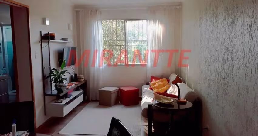 Apartamento de 90m² com 3 quartos em Lauzane Paulista