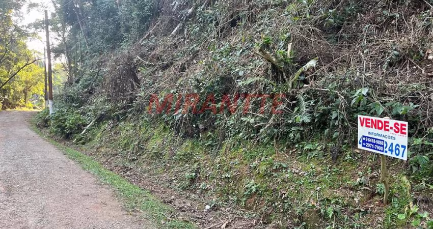 Terreno em Serra Da Cantareira