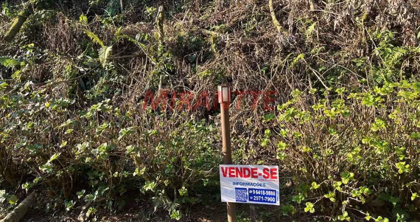 Terreno em Serra Da Cantareira