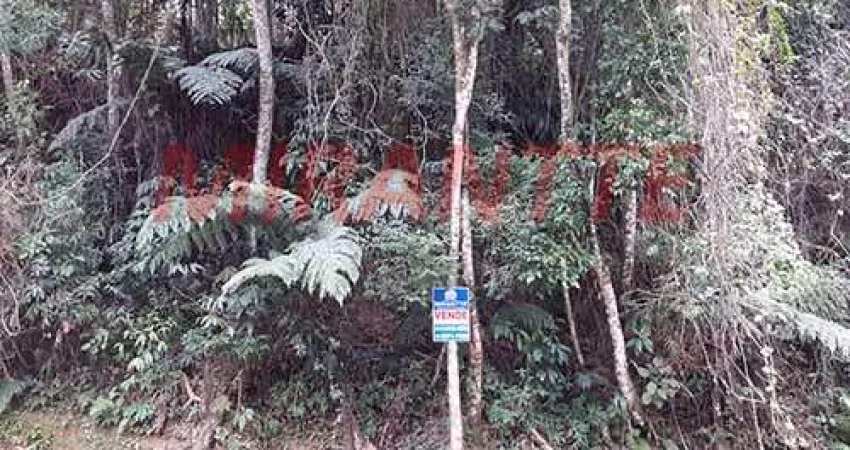 Terreno em Centro - Mairiporã