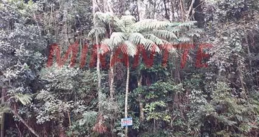 Terreno em Serra da Cantareira