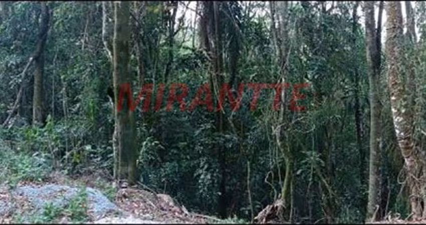 Terreno em Serra Da Cantareira
