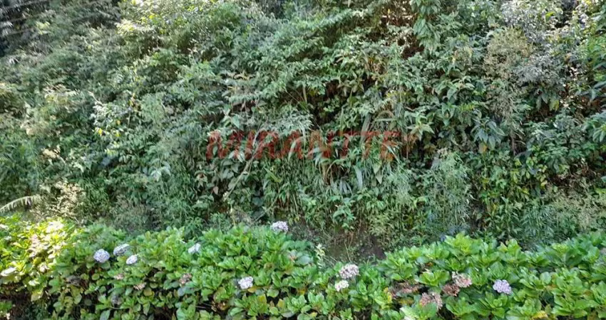 Terreno à venda na Alameda Guaranhuns, Serra da Cantareira, São Paulo