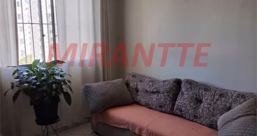 Apartamento de 63m² com 2 quartos em Lauzane Paulista