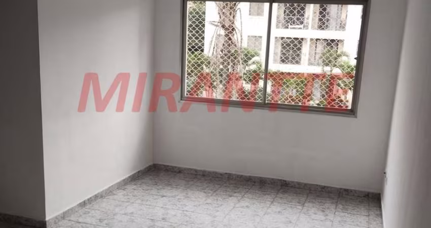 Apartamento de 60m² com 2 quartos em Lauzane Paulista