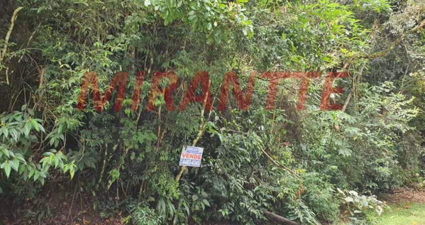 Terreno em Serra da Cantareira