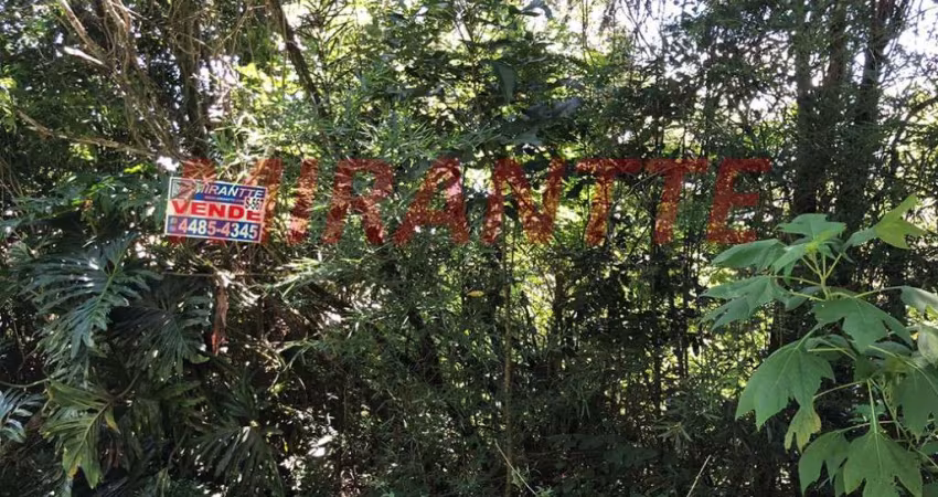 Terreno em Serra Da Cantareira