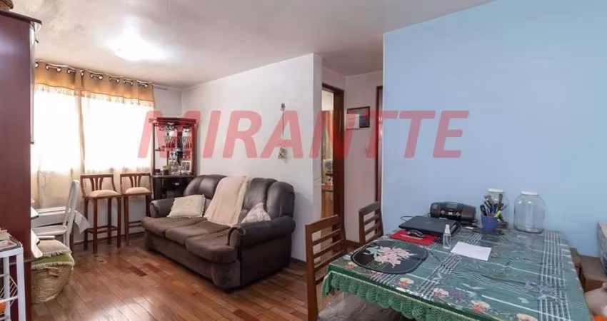 Apartamento de 62m² com 2 quartos em Lauzane Paulista