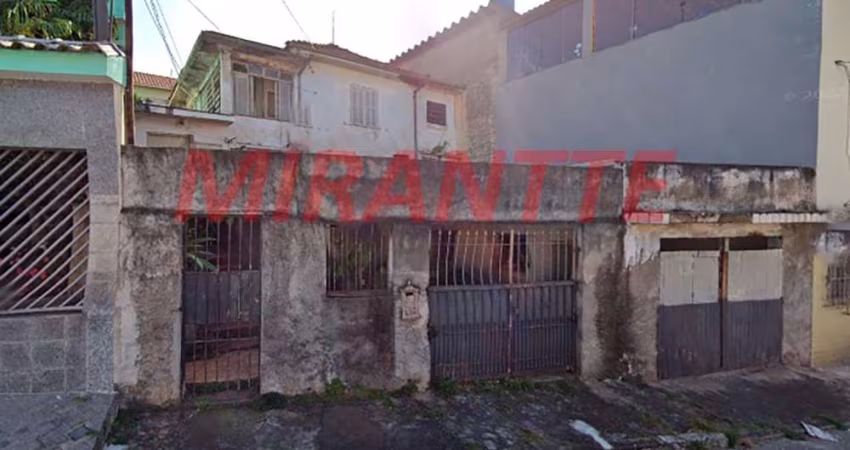 Terreno em Vila Santa Terezinha (Zona Norte)