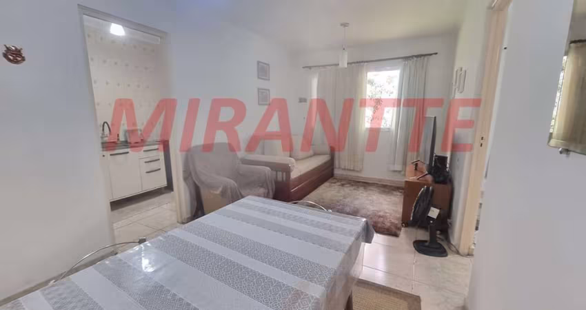 Apartamento de 38.9m² com 1 quartos em Lauzane Paulista