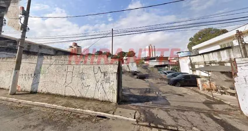 Terreno à venda na Rua Miguel Roque, Imirim, São Paulo