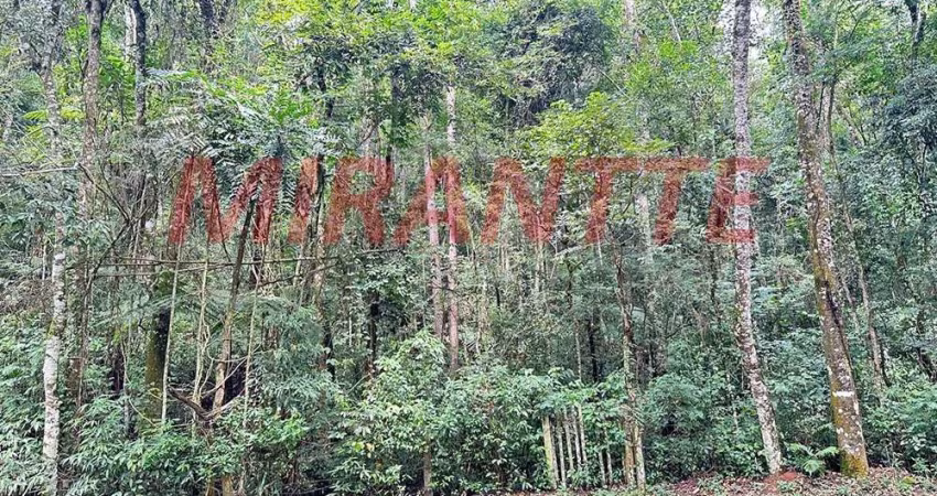 Outros em Caraguata