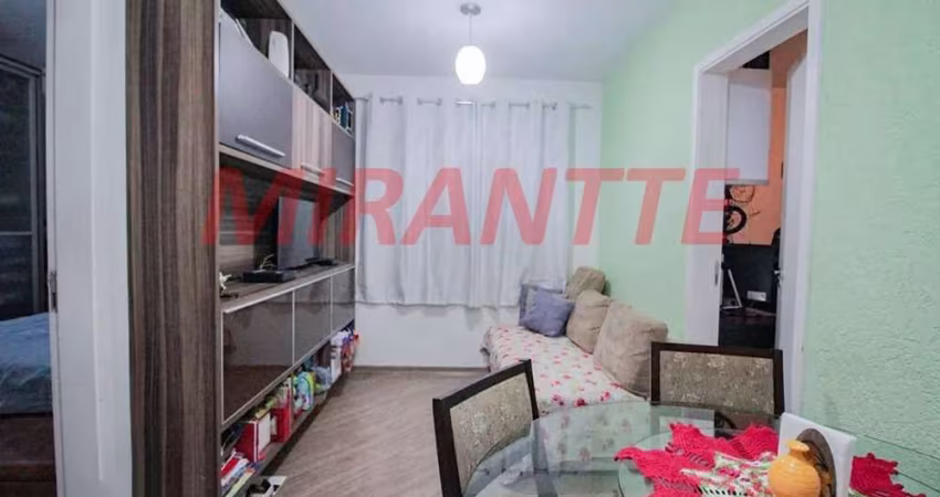 Apartamento de 50m² com 3 quartos em Vila Amalia