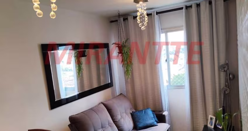 Apartamento de 53m² com 2 quartos em Vila Basileia