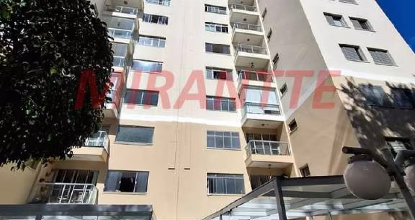 Apartamento de 74m² com 2 quartos em Vila Amelia