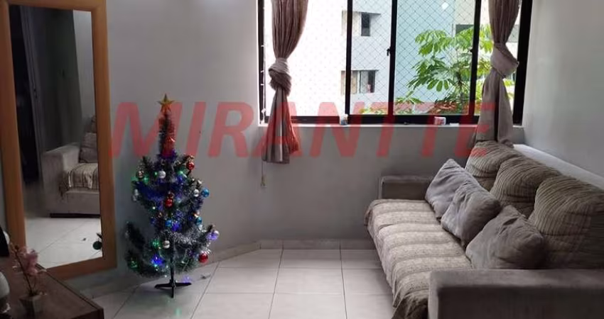 Apartamento de 63m² com 3 quartos em Jardim Parque Morumbi