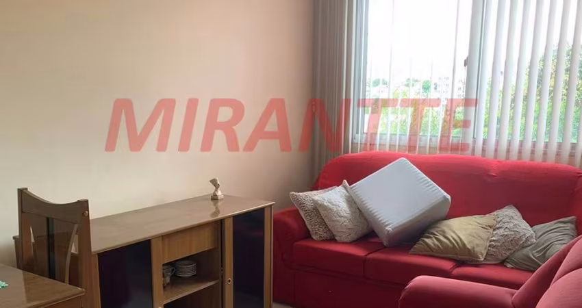 Apartamento de 52m² com 2 quartos em Vila Basileia