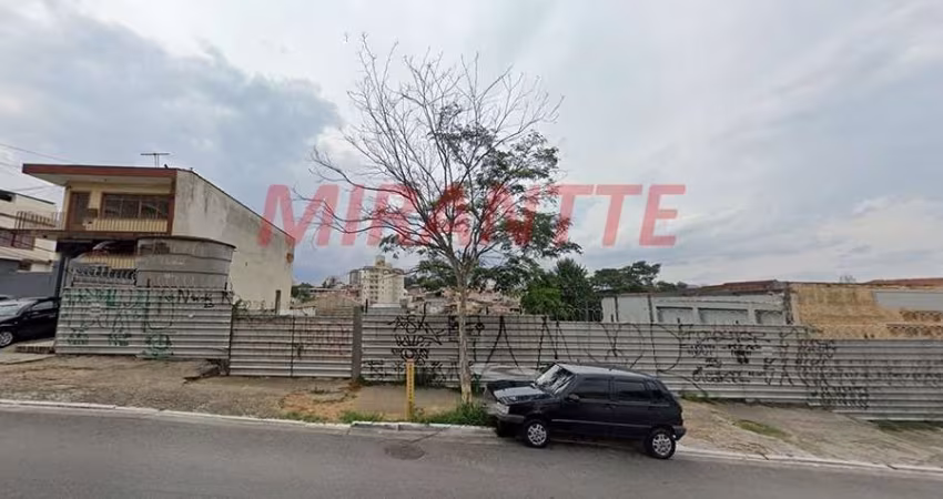 Terreno em Vila Gustavo