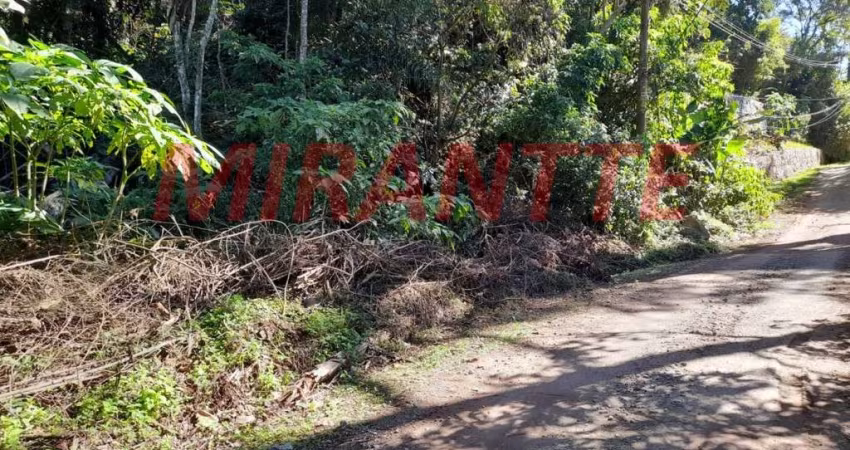 Terreno em Serra Da Cantareira