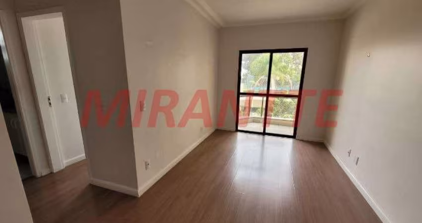 Apartamento de 78m² com 3 quartos em Mandaqui