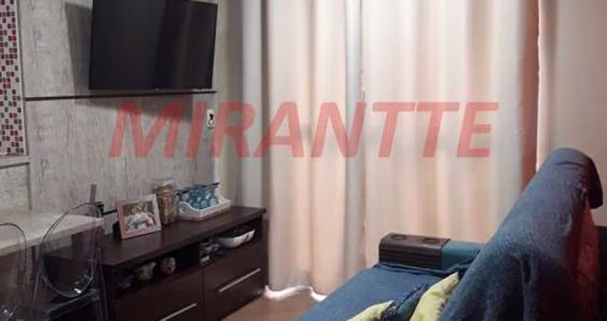 Apartamento de 50m² com 2 quartos em Jardim Cachoeira
