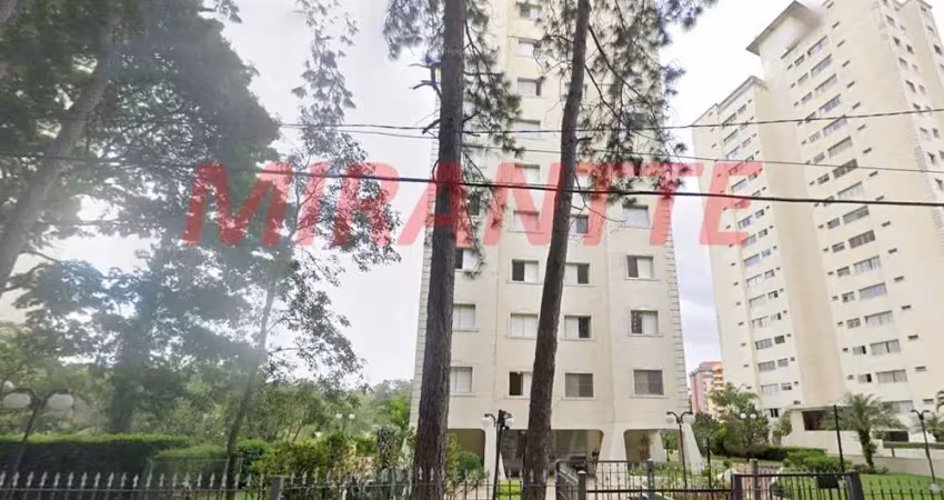 Apartamento de 63m² com 2 quartos em jardim paraiso