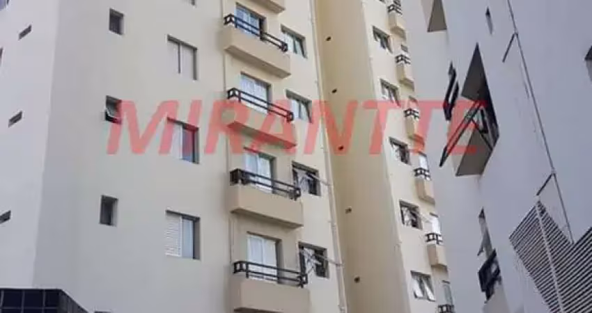 Apartamento de 58m² com 2 quartos em santa terezinha
