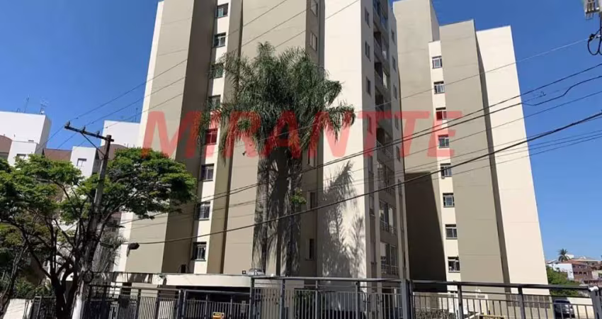Apartamento com 2 quartos à venda na Rua Antônio Domingues Freitas, Vila Amélia, São Paulo