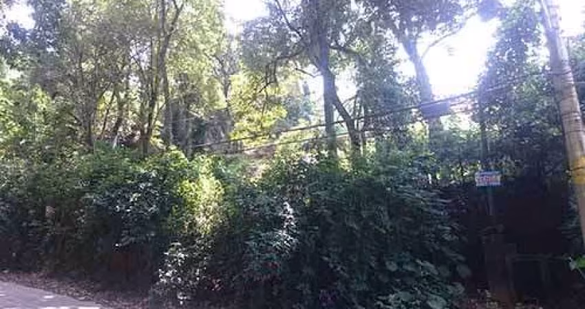 Terreno à venda na Rua Mateus Garcia, Horto Florestal, São Paulo