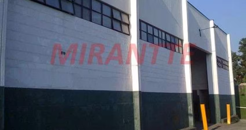Galpao de 997m² em Vila Maria