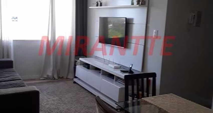 Apartamento de 60m² com 2 quartos em Tucuruvi