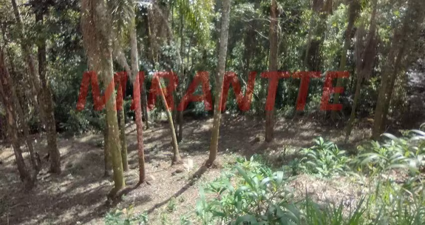 Terreno à venda na Avenida Av Dr. Arthur De Andrade Filho, Serra da Cantareira, Mairiporã