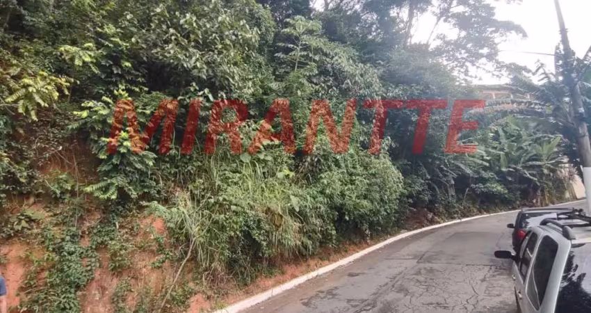 Terreno em Vila Albertina