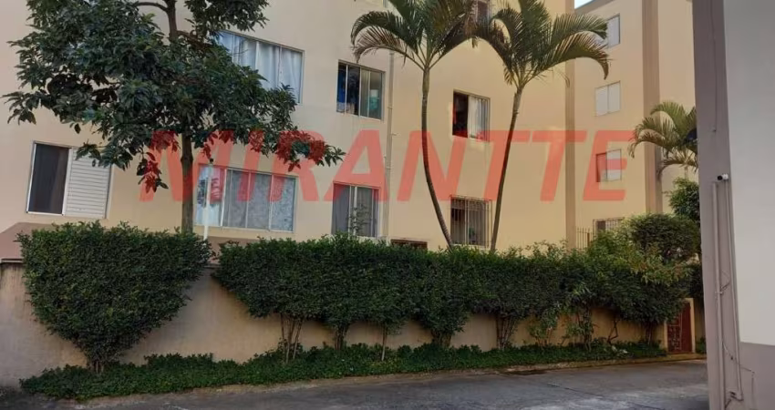 Apartamento de 54m² com 1 quartos em Lauzane Paulista