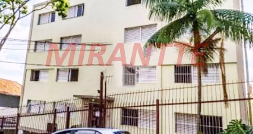 Apartamento de 75m² com 2 quartos em Vila Pauliceia