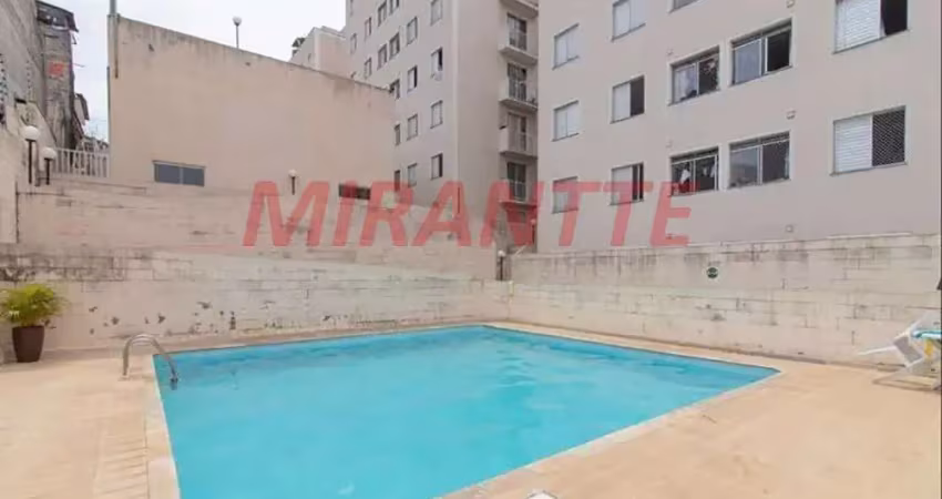 Apartamento de 50m² com 3 quartos em Vila Amalia
