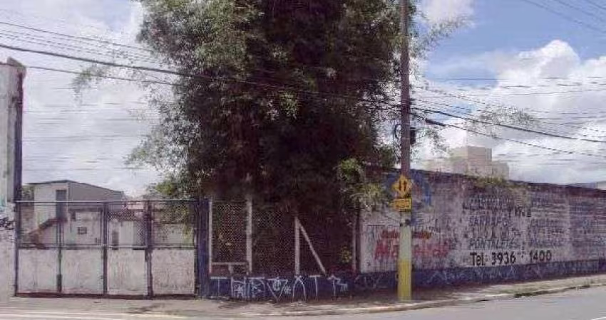 Terreno em Limão