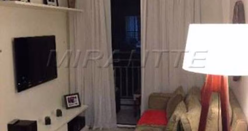 Apartamento de 60m² com 3 quartos em parque novo mundo
