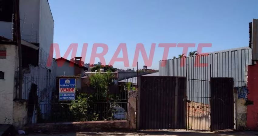 Terreno em Vila Albertina