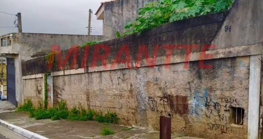 Terreno em Jardim Jaçanã